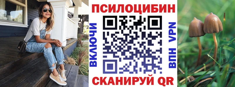 Купить закладки  Светогорск  Псилоцибиновые грибы Psilocybe 