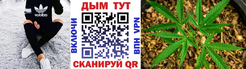 Канабис Amnesia  Купить где  Светогорск 